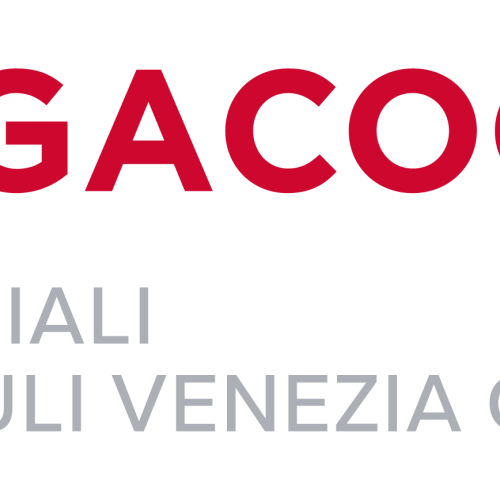 2024_legacoop_sociali_FVG_esteso_logo (1) (1)