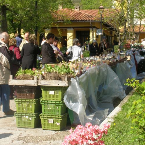 Horti_Tergestini_2019
