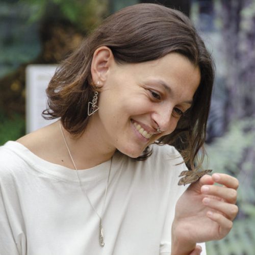 casa delle farfalle 02