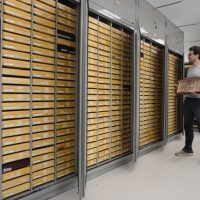 nuova ala muffa casa farfalle bordano