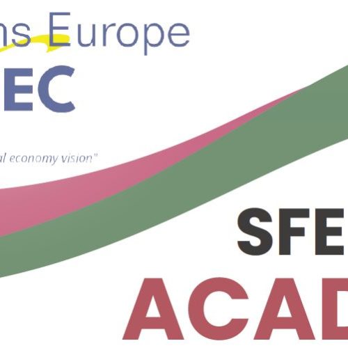 sfe cefec academy
